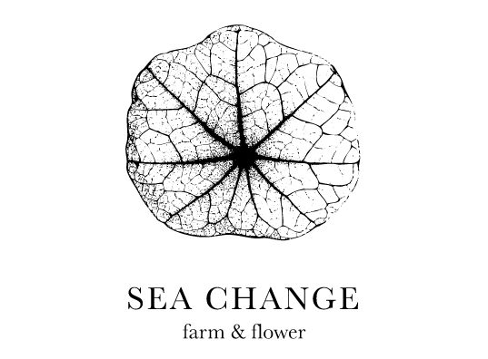 Sea Change Farm Store
